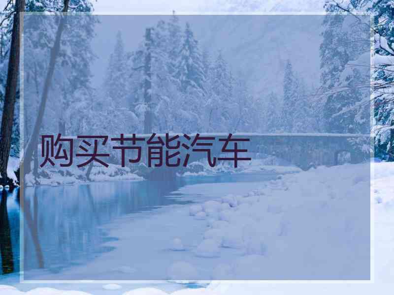 购买节能汽车