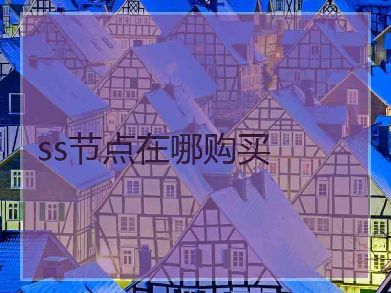 ss节点在哪购买