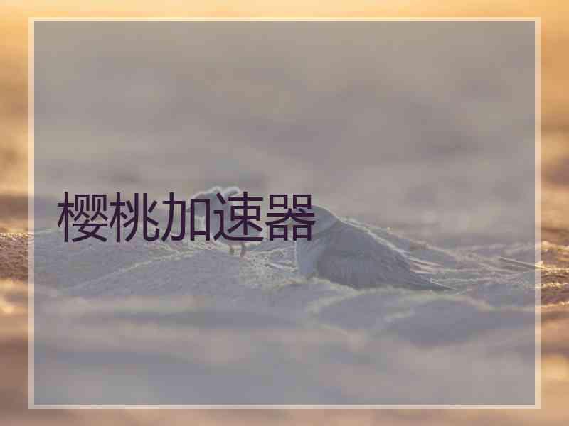 樱桃加速器