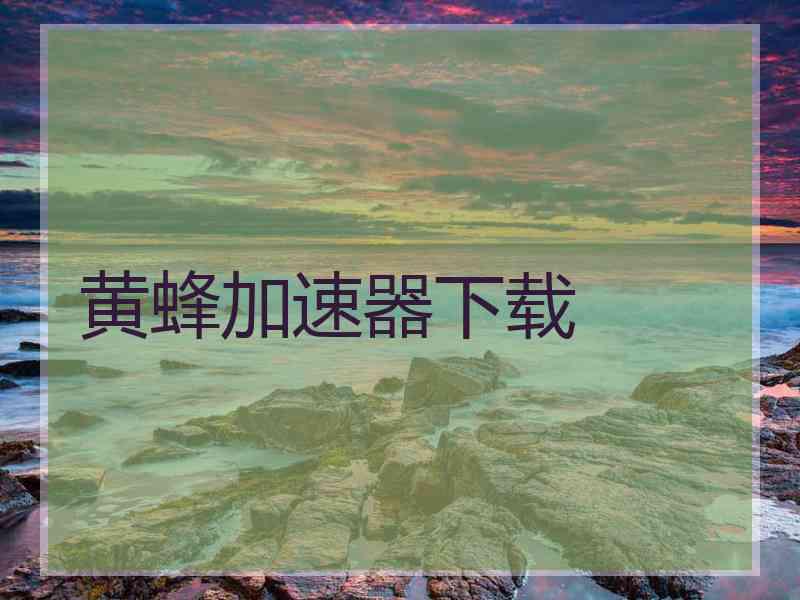 黄蜂加速器下载