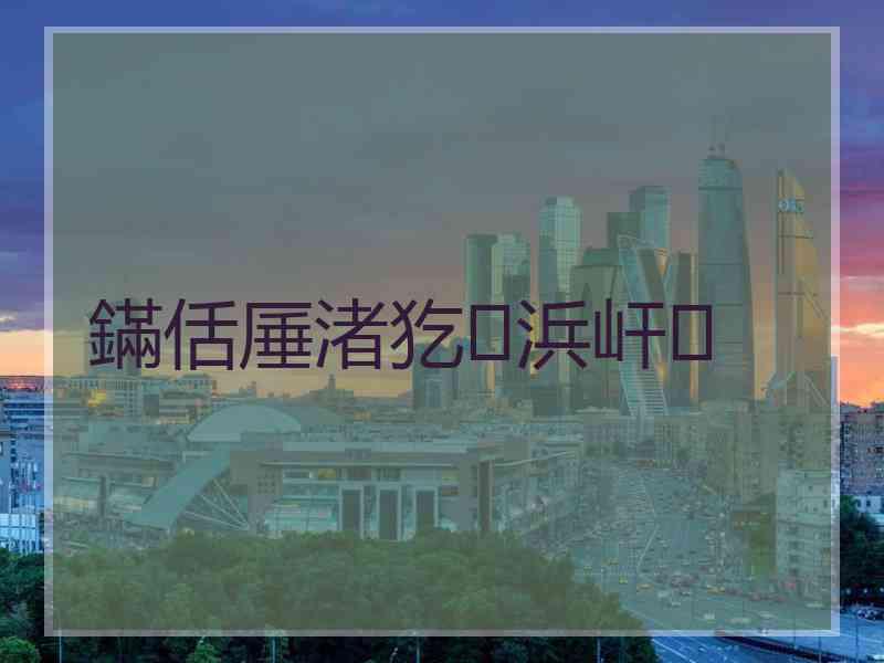 鏋佸厜渚犵浜屽
