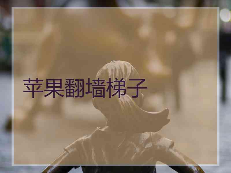 苹果翻墙梯子