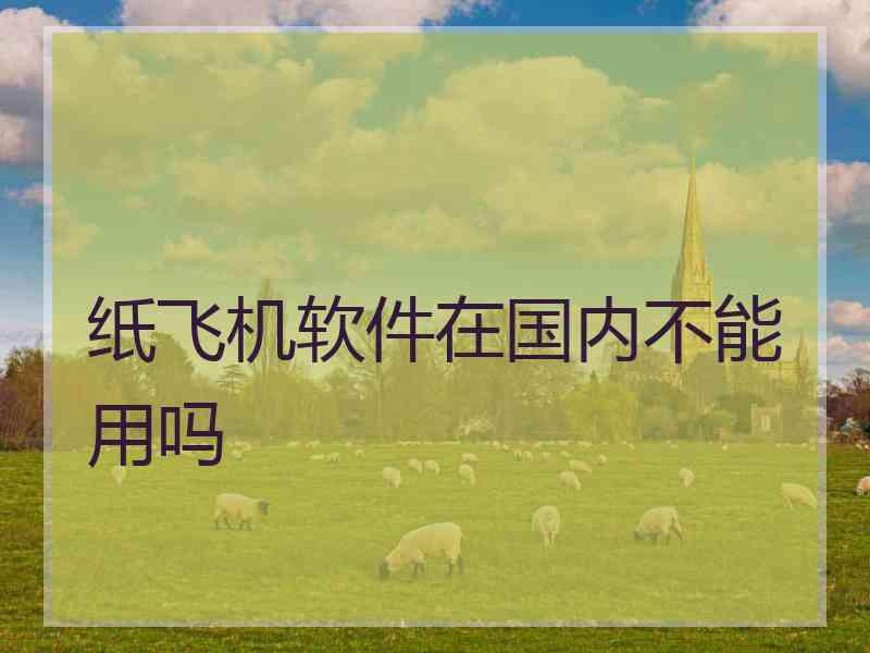 纸飞机软件在国内不能用吗