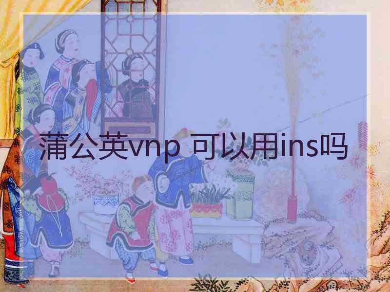 蒲公英vnp 可以用ins吗
