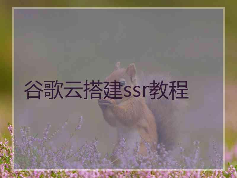 谷歌云搭建ssr教程