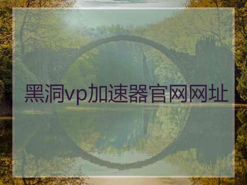 黑洞vp加速器官网网址