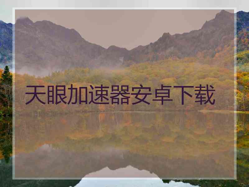 天眼加速器安卓下载