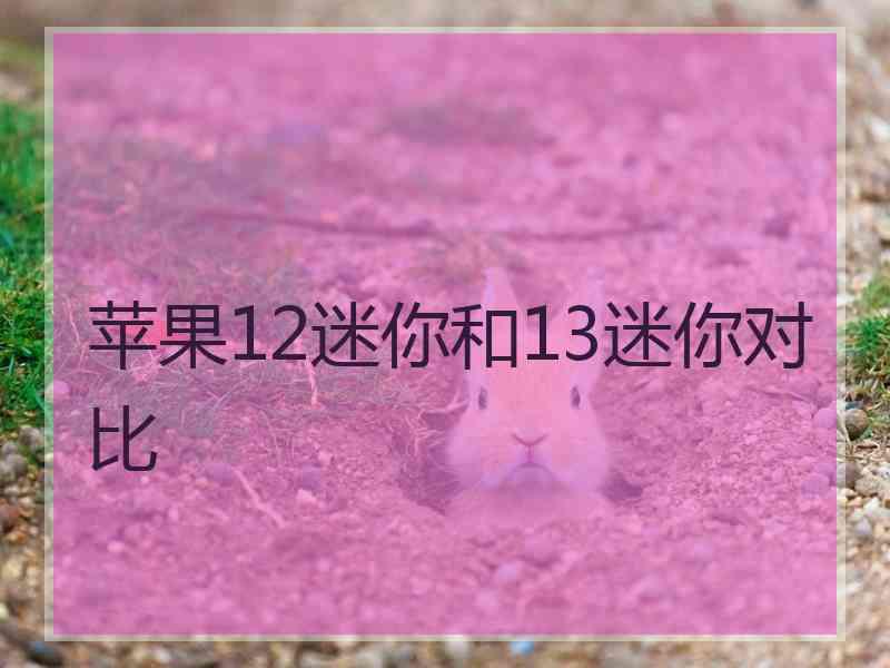 苹果12迷你和13迷你对比
