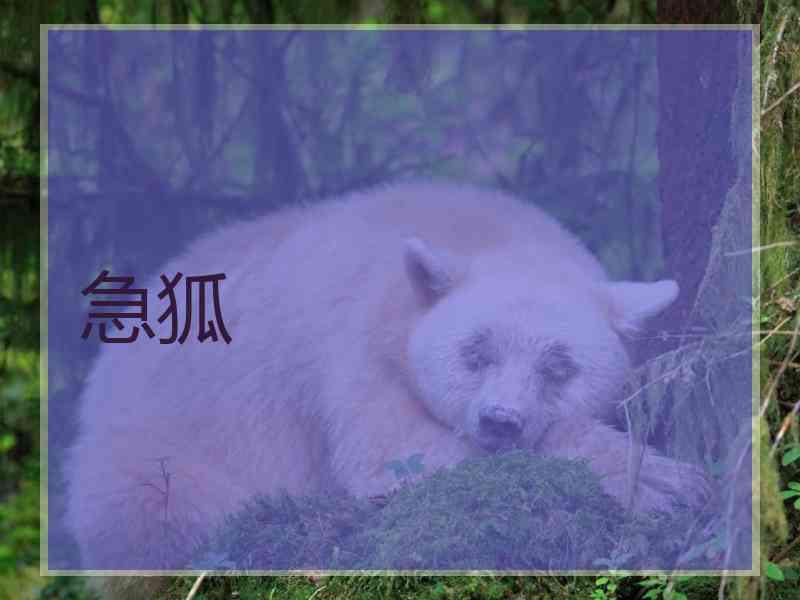 急狐