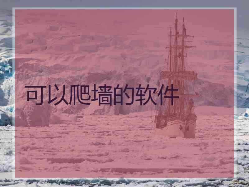 可以爬墙的软件