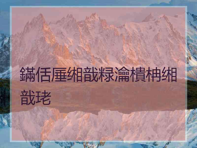 鏋佸厜缃戠粶瀹樻柟缃戠珯