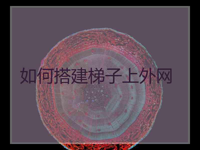 如何搭建梯子上外网