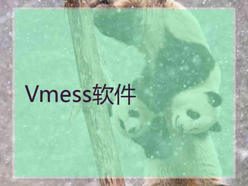 Vmess软件