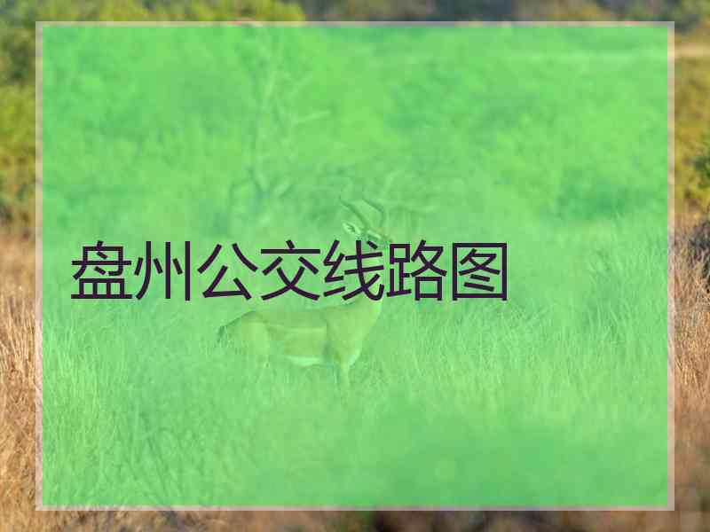 盘州公交线路图