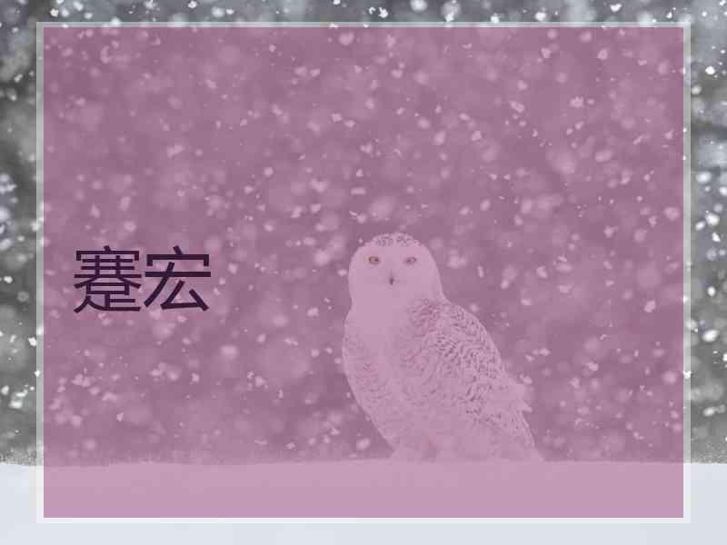蹇宏
