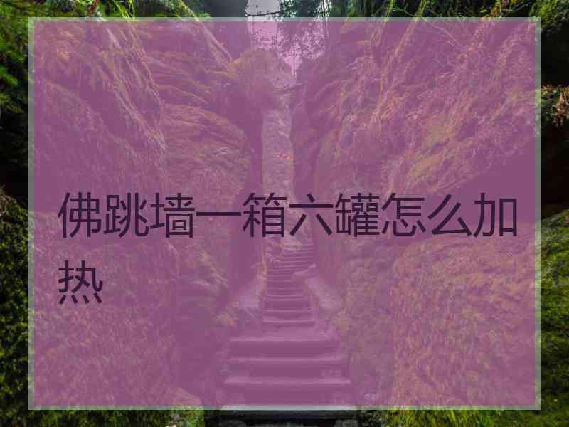 佛跳墙一箱六罐怎么加热