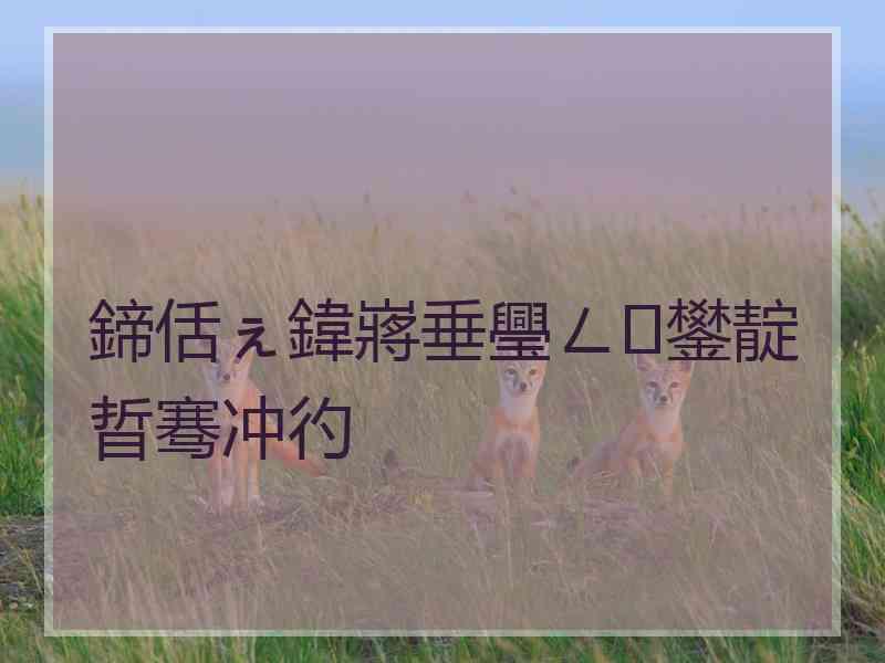 鍗佸ぇ鍏嶈垂璺ㄥ鐢靛晢骞冲彴