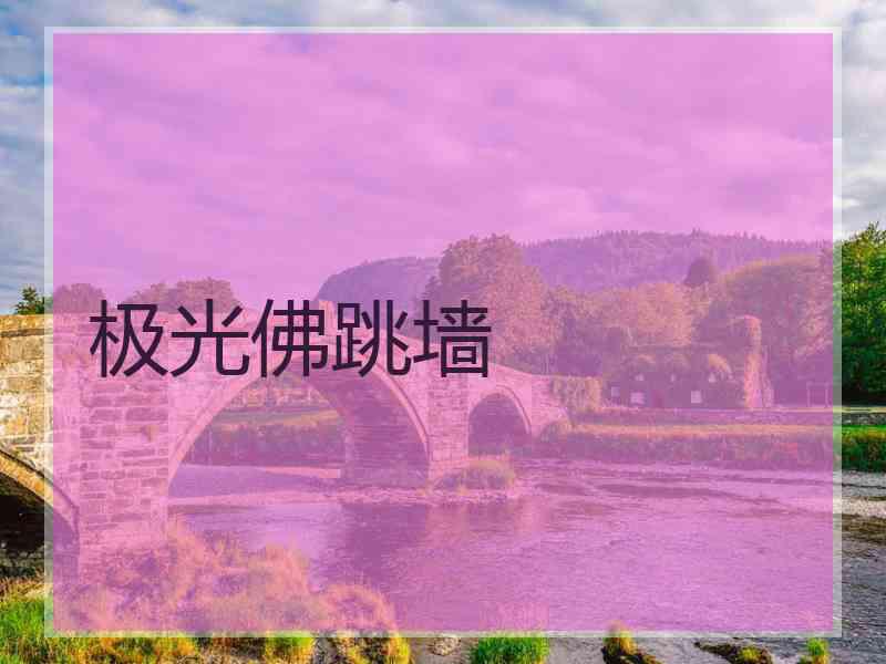 极光佛跳墙