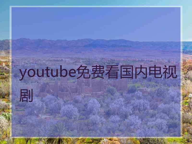 youtube免费看国内电视剧