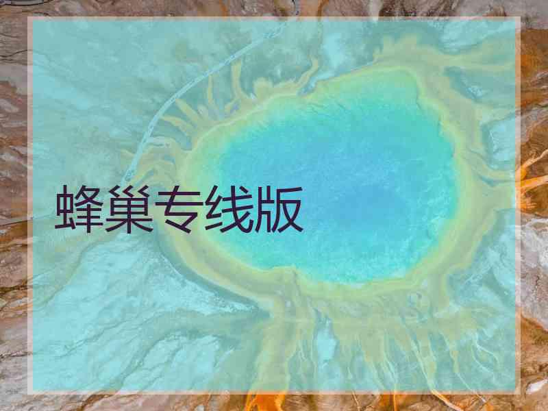 蜂巢专线版