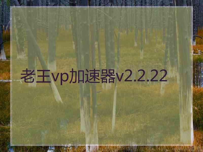 老王vp加速器v2.2.22