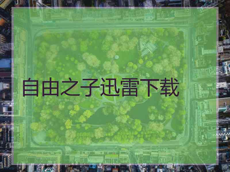 自由之子迅雷下载
