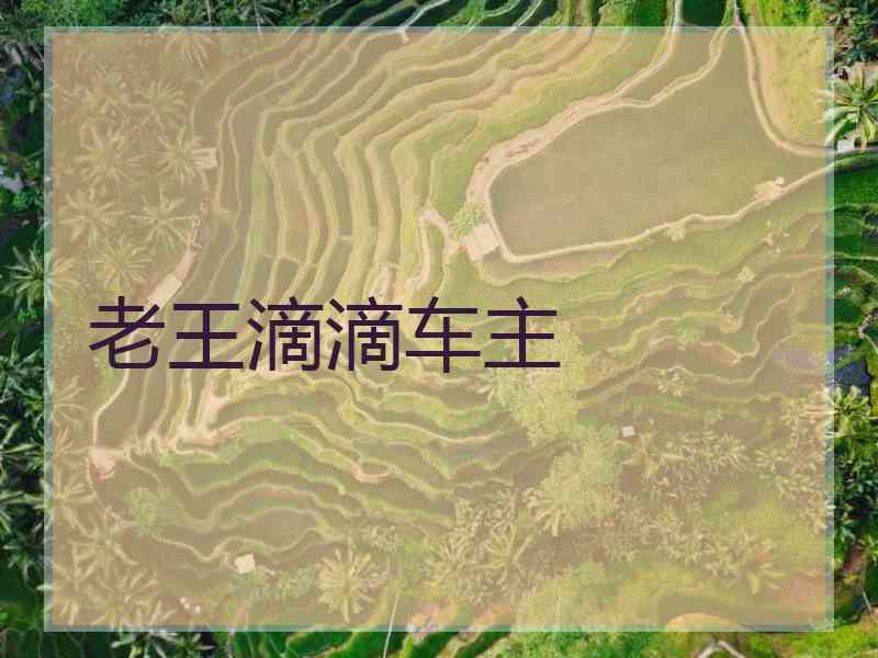 老王滴滴车主