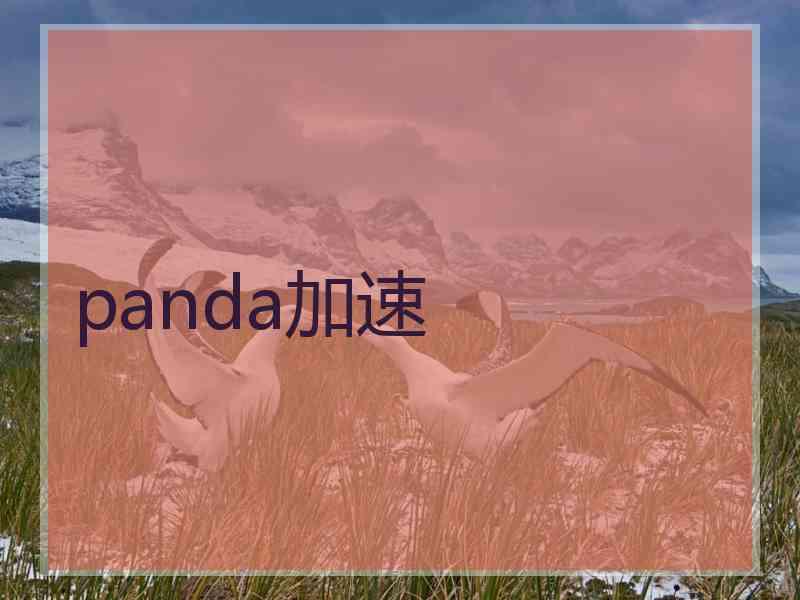 panda加速