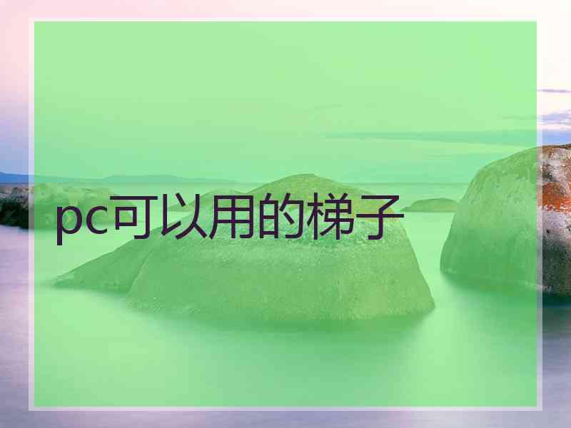 pc可以用的梯子