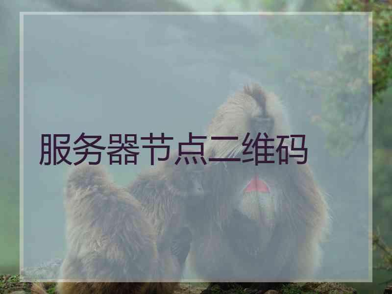 服务器节点二维码