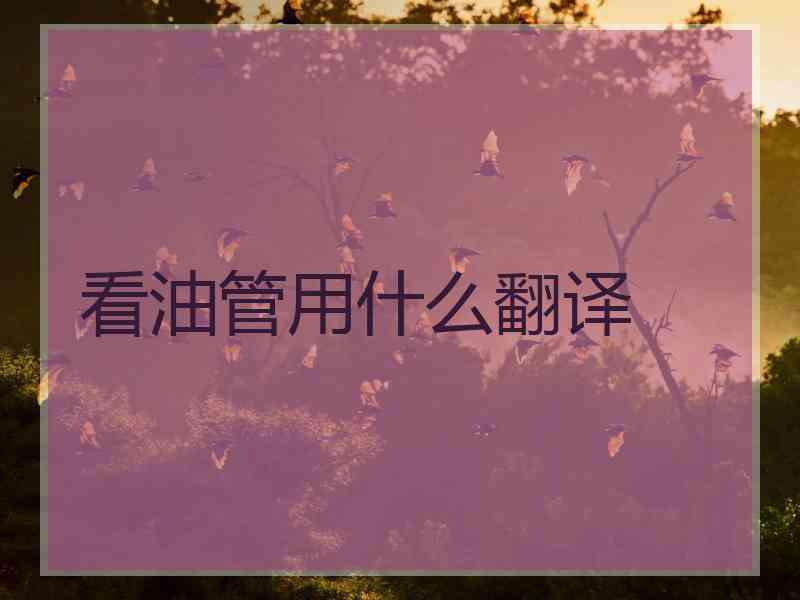 看油管用什么翻译