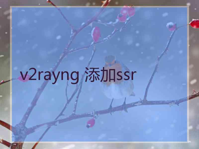 v2rayng 添加ssr