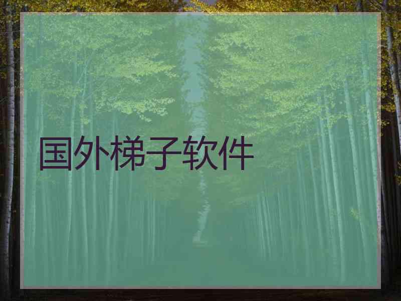 国外梯子软件