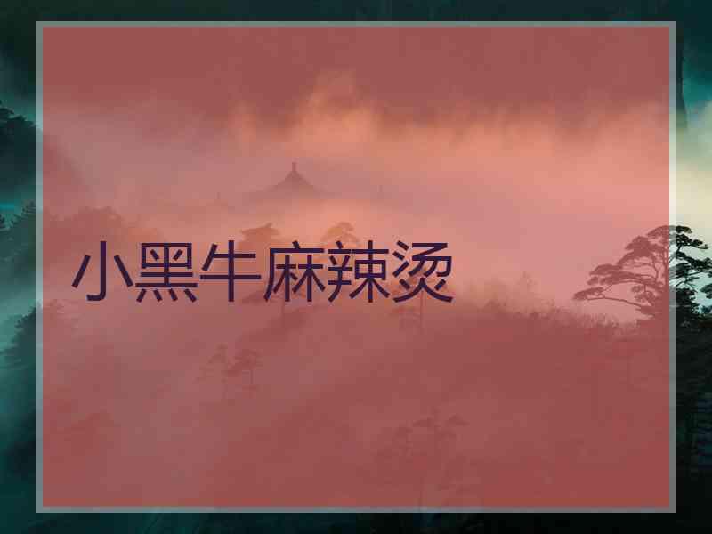 小黑牛麻辣烫