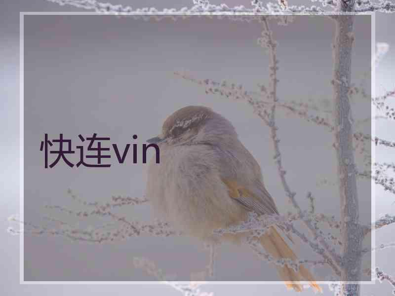 快连vin