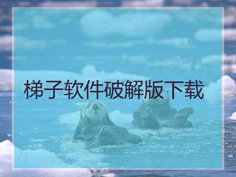 梯子软件破解版下载