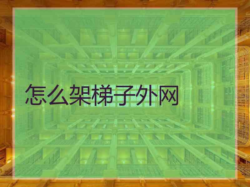 怎么架梯子外网