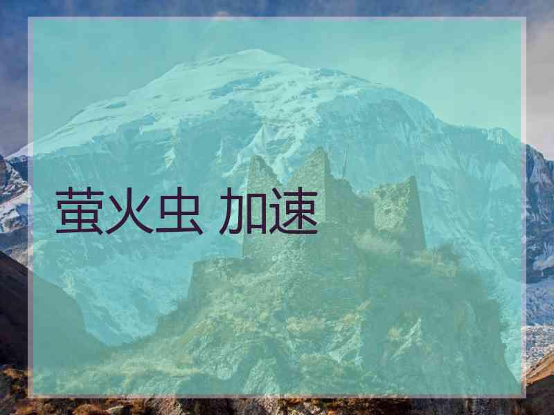 萤火虫 加速
