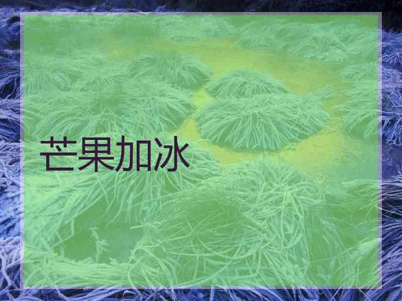 芒果加冰