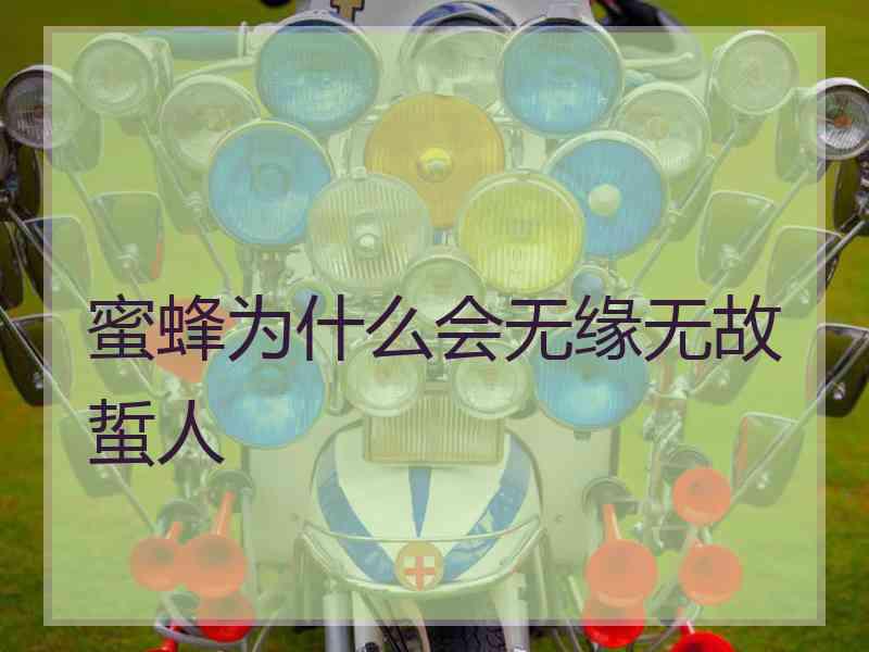 蜜蜂为什么会无缘无故蜇人