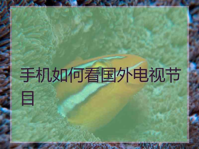 手机如何看国外电视节目