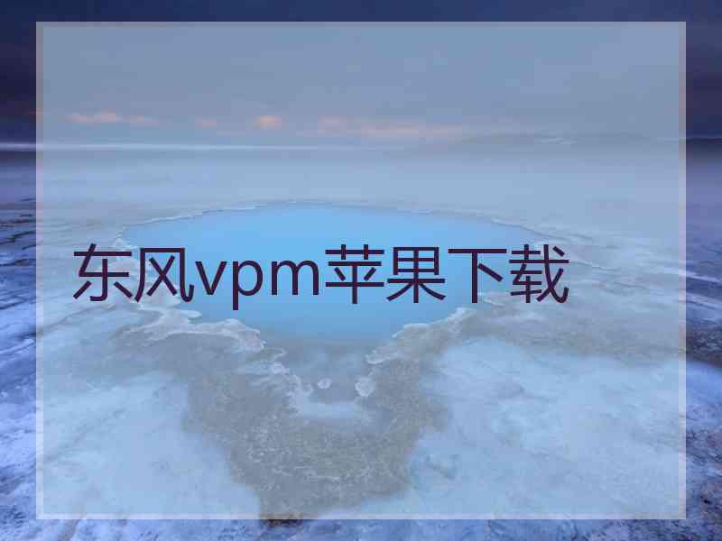 东风vpm苹果下载