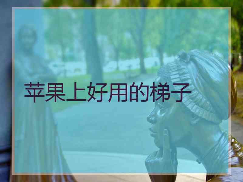 苹果上好用的梯子