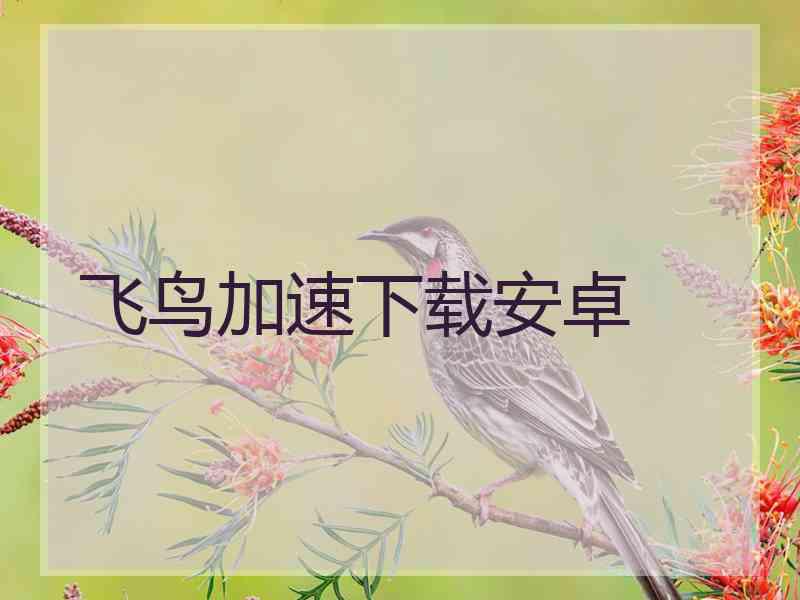 飞鸟加速下载安卓