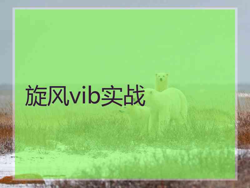 旋风vib实战