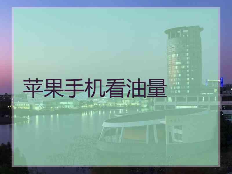 苹果手机看油量