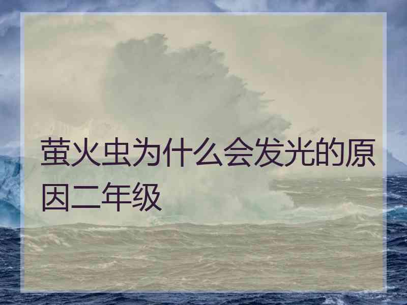 萤火虫为什么会发光的原因二年级