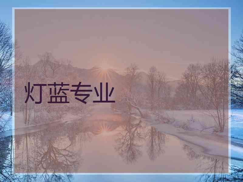 灯蓝专业