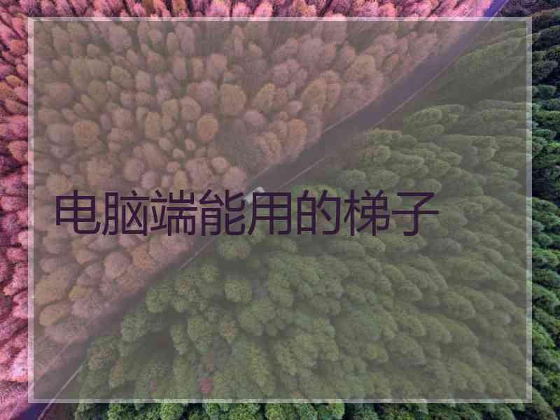 电脑端能用的梯子