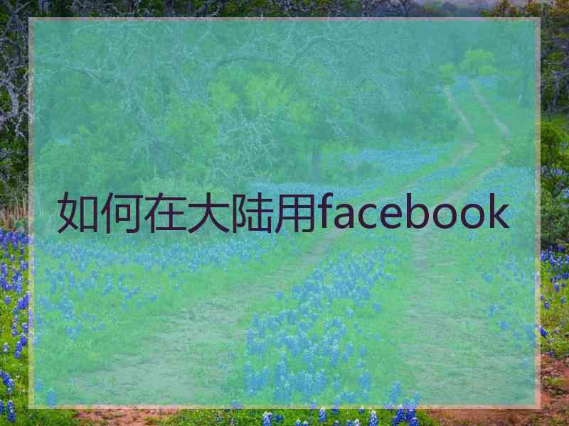 如何在大陆用facebook